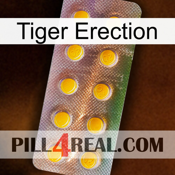 Tiger Erection new11.jpg